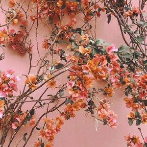 美女全身裸露被❌的嗷嗷大叫网站
